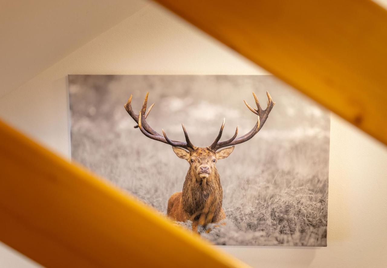 Apartmenthaus Matri By Pferd Auf Wolke ヴァルト・アム・アールベルク エクステリア 写真